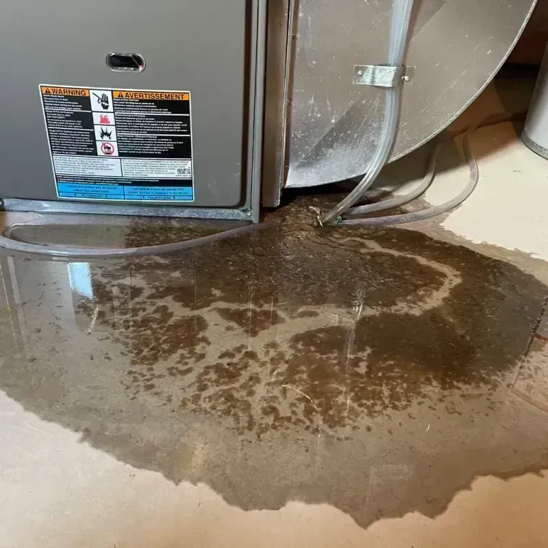 Appliance Leak Cleanup in Cheney, KS